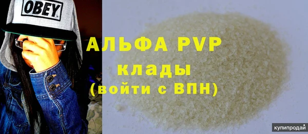 хмурый Абаза