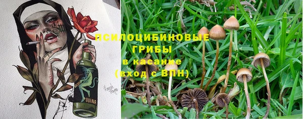 хмурый Абдулино