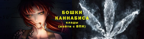 соль ск Новодвинск