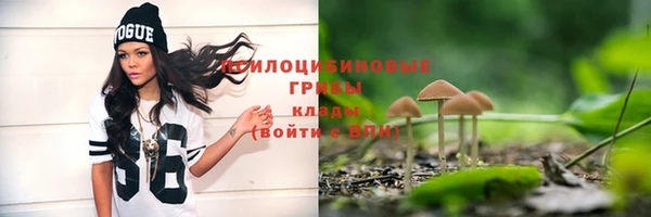 прущие крисы Новозыбков