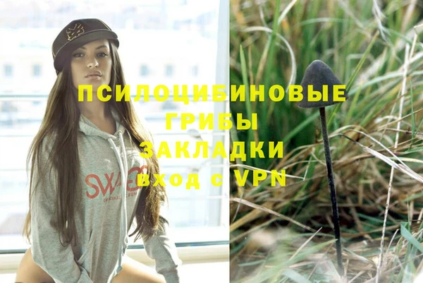 соль ск Новодвинск