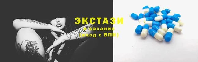 хмурый Абаза