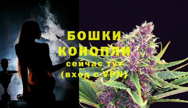 прущие крисы Новозыбков
