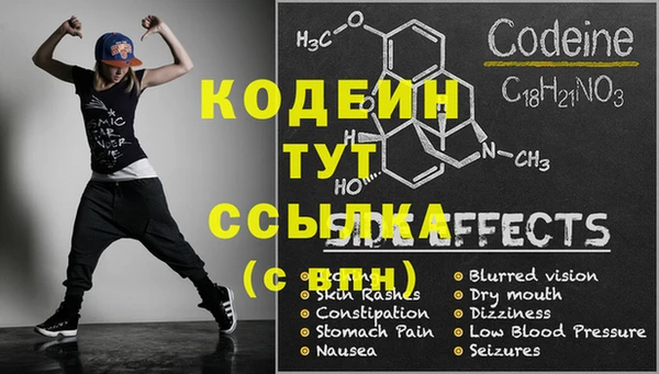 прущие крисы Новозыбков