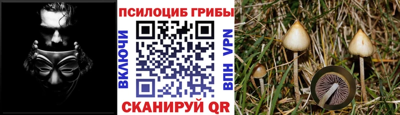 Галлюциногенные грибы прущие грибы  Чегем 